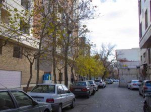 گروه معماری هشت گوش_بام سبز